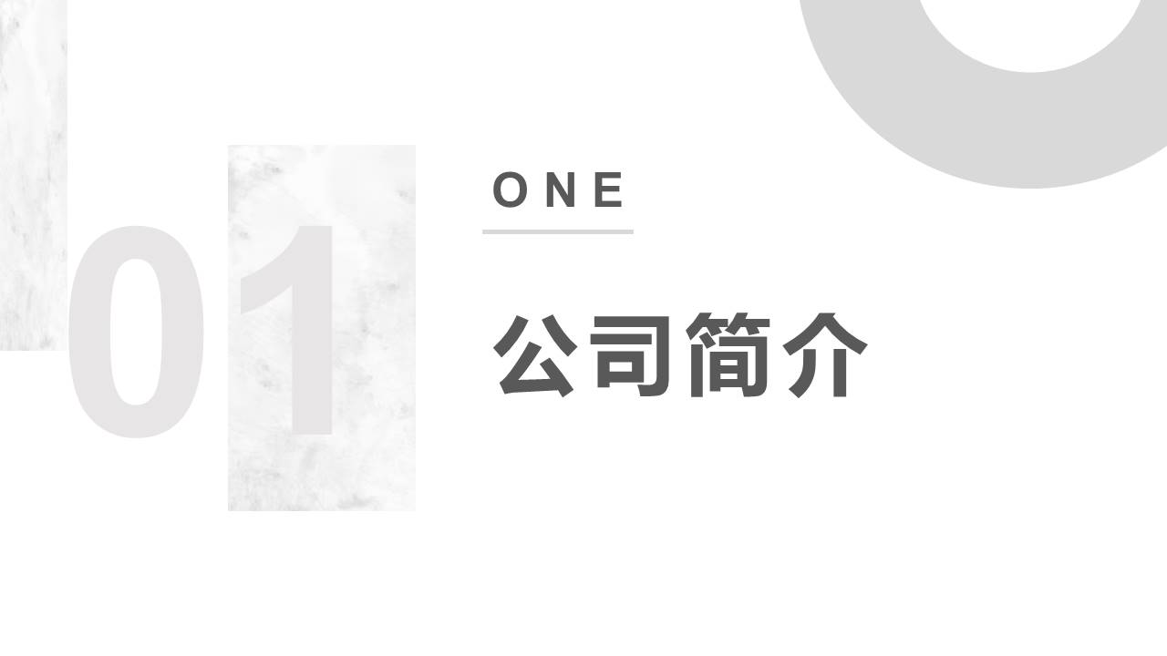 公司介绍 (50).pptx
